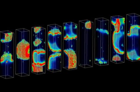 New Computer Model Sheds Light on Biological Events Leading to Sudden Cardiac Death